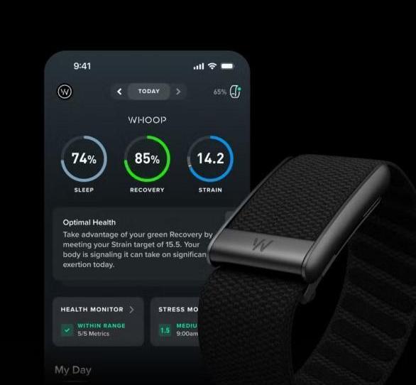 Peak – 12-Month Membership – 5.0 Health and Fitness Wearable – 24/7 Activity and Sleep Tracker with Heart Rate, HRV, Stress Monitor, Personalized Coaching, Healthspan – 14+ Days Battery Life - Peak On
