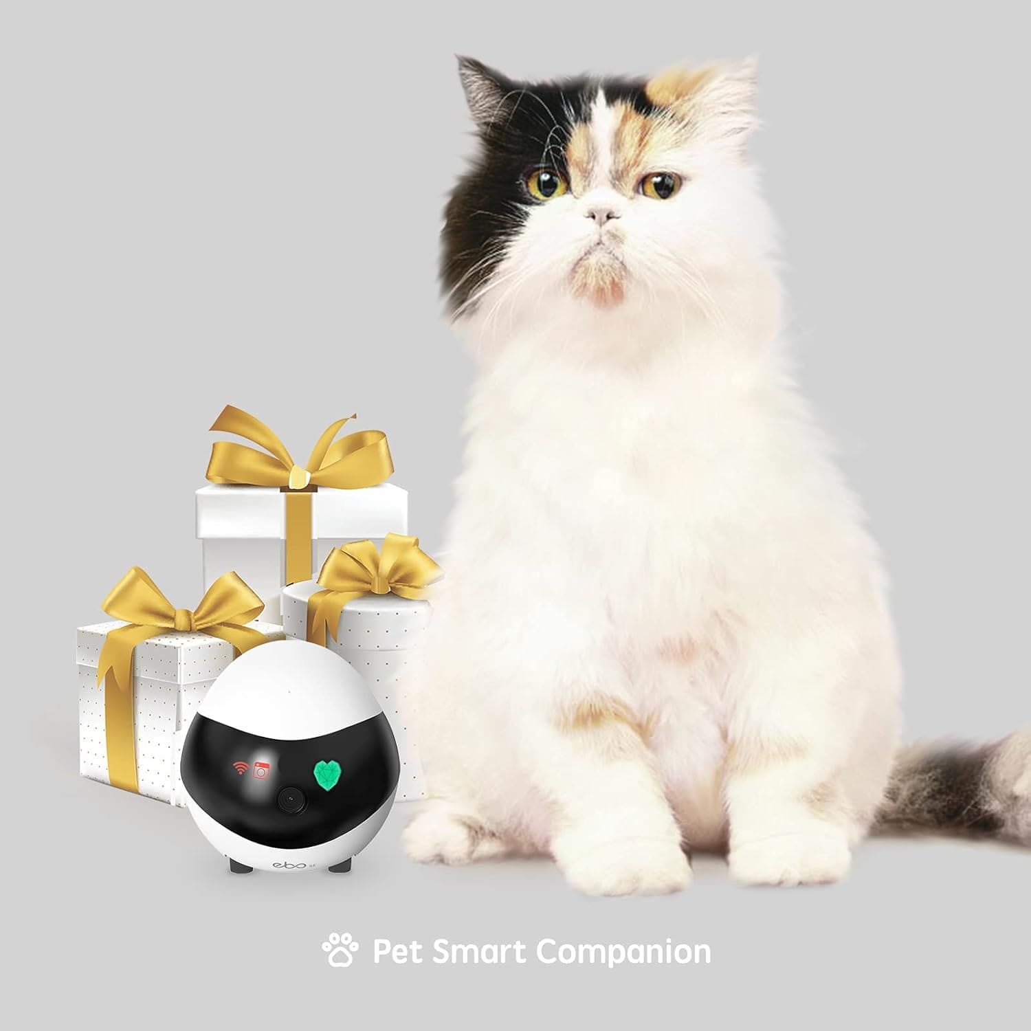 Enabot EBO SE FamilyBot روبوت الكاميرا المنزلية