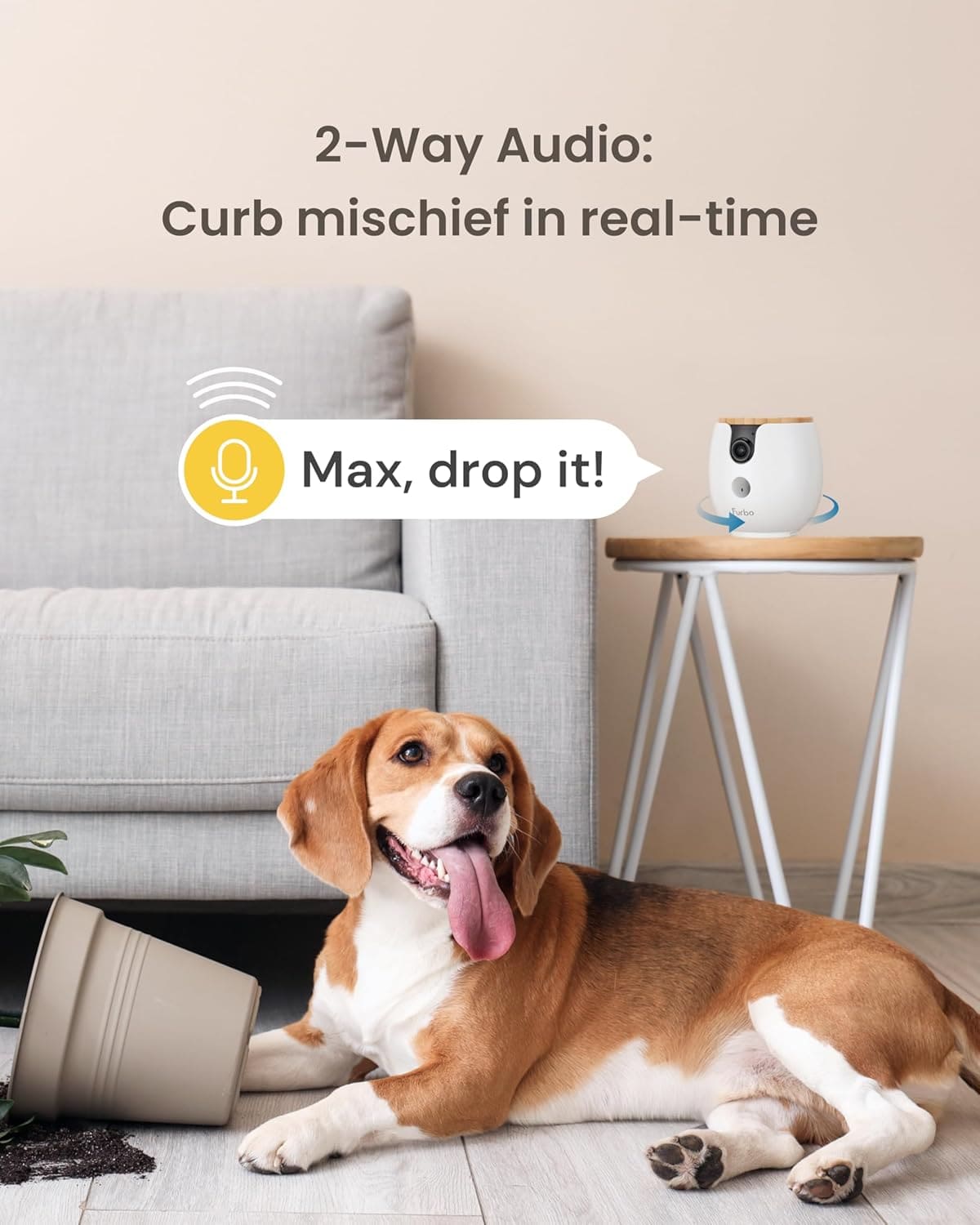 كاميرا الحيوانات الأليفة Petcube Bites 2 Lite، مع عضوية Furbo Nanny Premium المجانية لمدة 12 شهرًا كاميرا الحيوانات الأليفة Petcube Bites 2 Lite، مع عضوية Furbo Nanny Premium المجانية لمدة 12 شهرًا